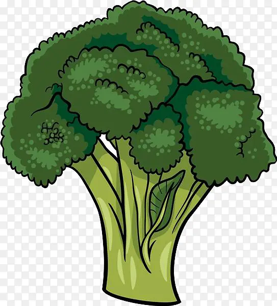 ����߲��ز�-������