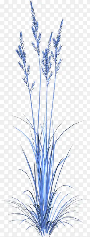 ��ɫ޹�²�-������