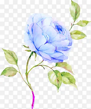 ����ɫ������ɫ��֦-������