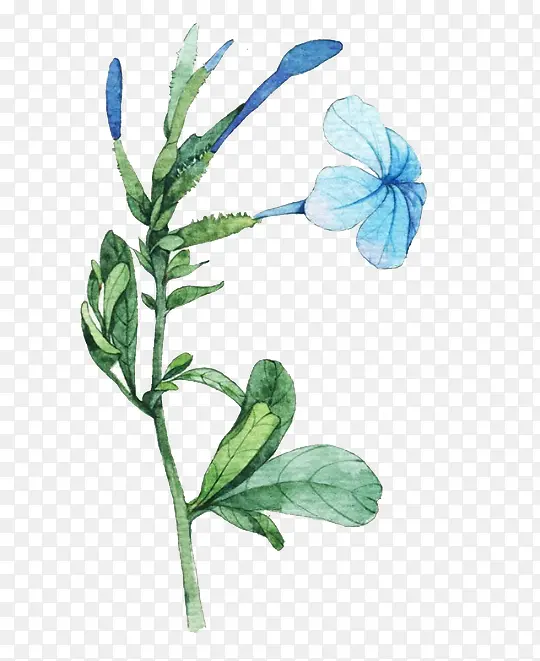 �ֻ�ˮ������-������