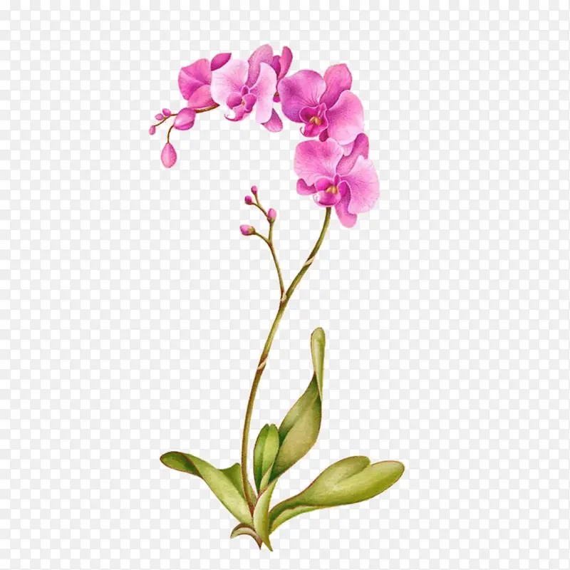 �����ֻ�-������