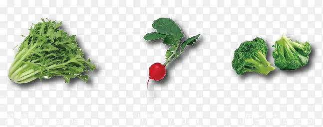 �߲�������-������