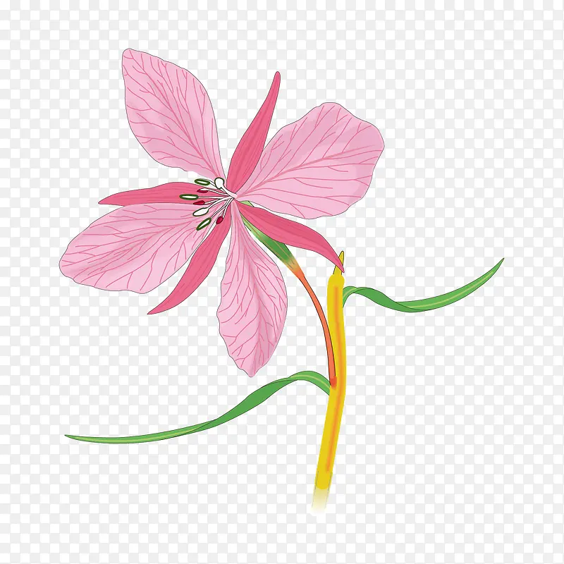 �ֻ�����-������