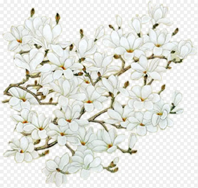 �ֻ滨-������