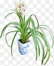 ������Ӱ�����ɫ����-������