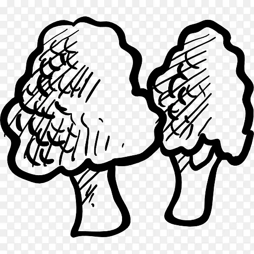 ������ͼ��-������