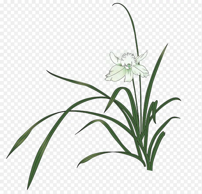 ɽ�е�������ʸ���ز�-������