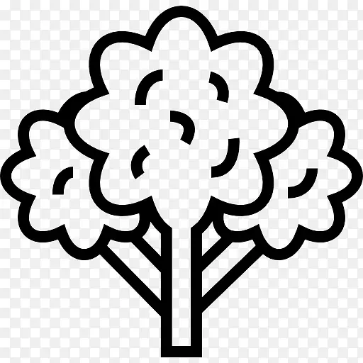 ������ͼ��-������