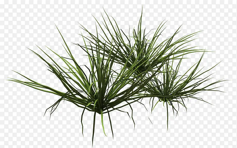 ����������������-������