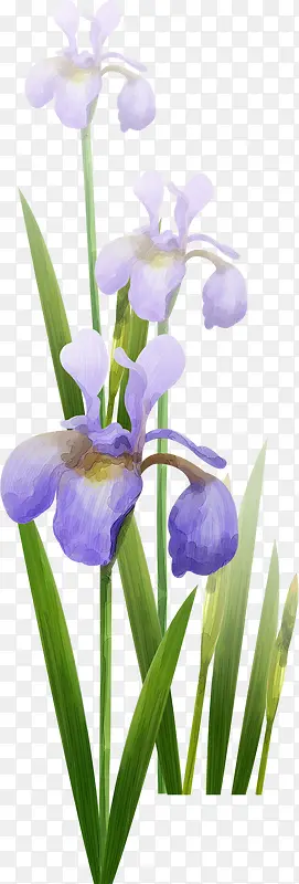 ��ͨ�ֻ�����-������