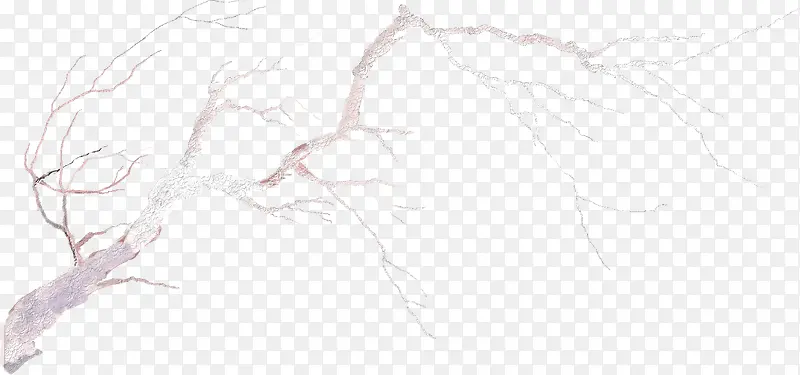 ����ˮ��ˮī��ľ��֦-������