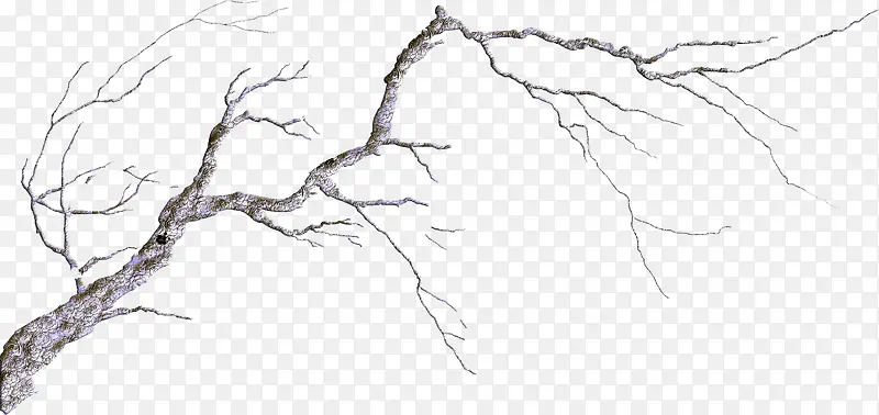 ˮ��ˮī��֦Ч��-������