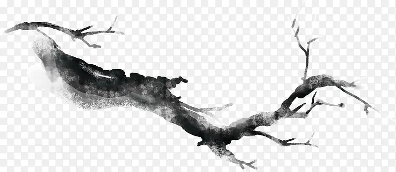 ��ɫˮī��֦����-������