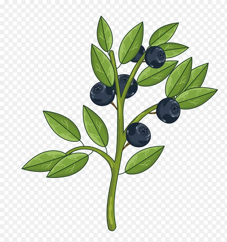 �ڼ���-������