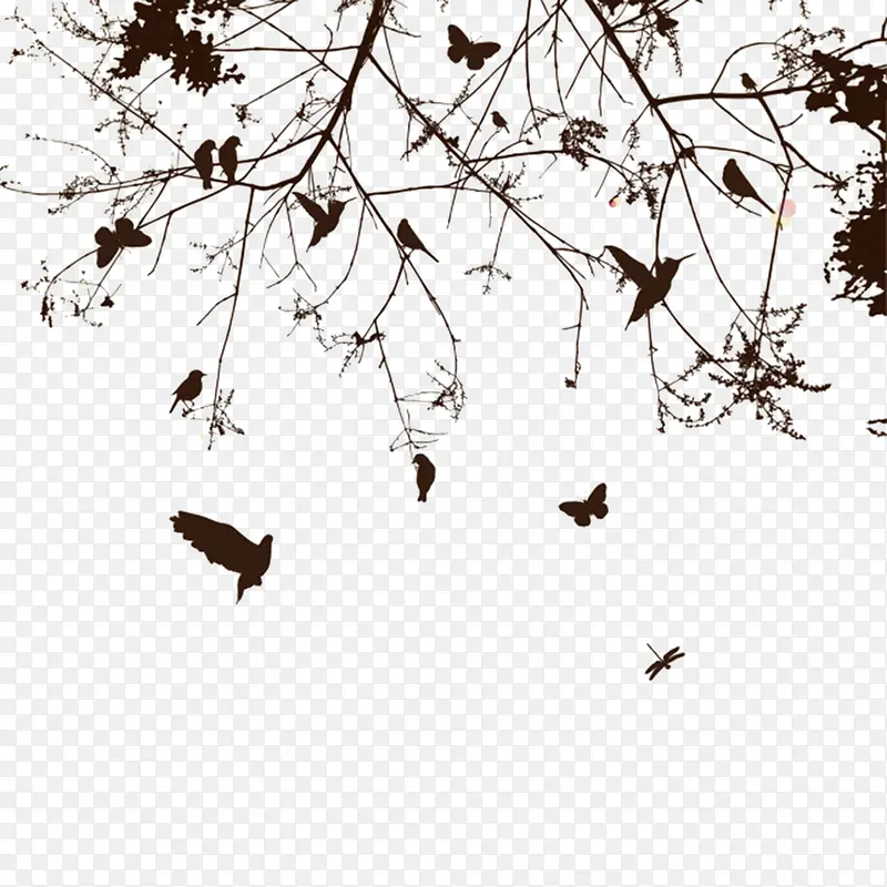 ����Ӱ-������