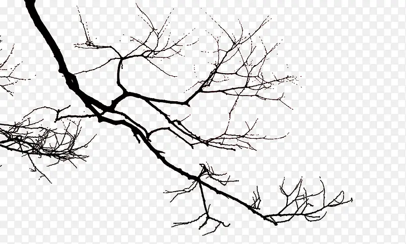 ����֦-������