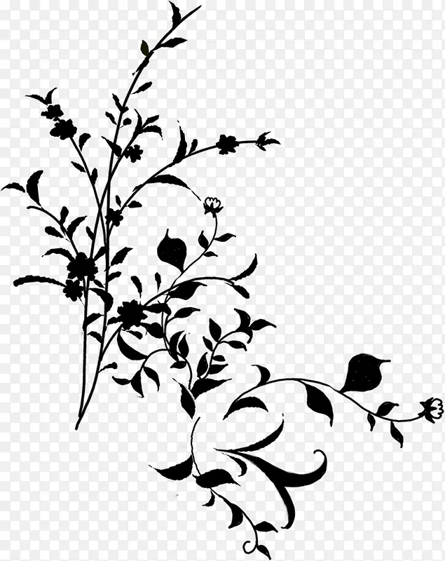 ��ɫ������֦����-������