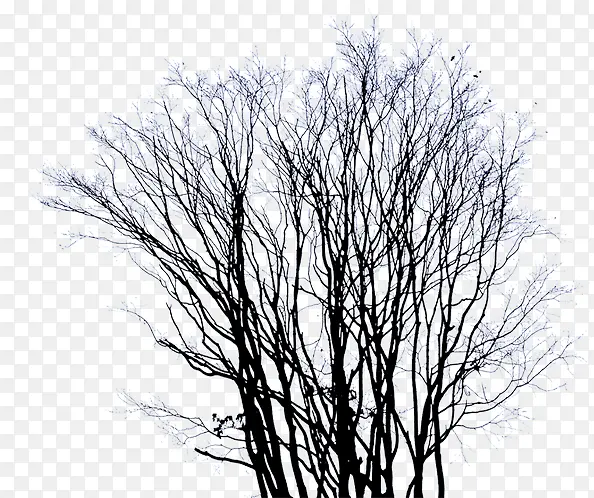 ����ϳɺ�ɫ����֦�ϳ�-������