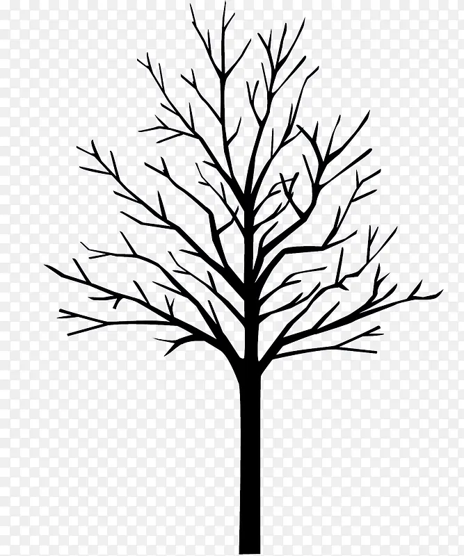 ��ɫ��֦��Ӱ�ɿ�-������