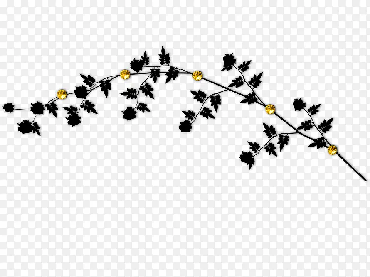 ��ɫС����֦��ɫҶ��-������