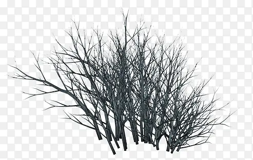 ��֦��ɫ��֦װ��-������