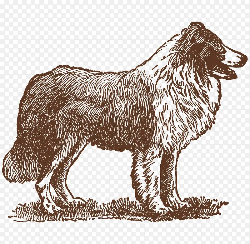 �ֻ�ʨ��-������