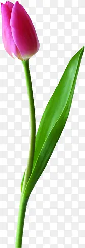 ��ʦ�ڷ�ɫ�������-������