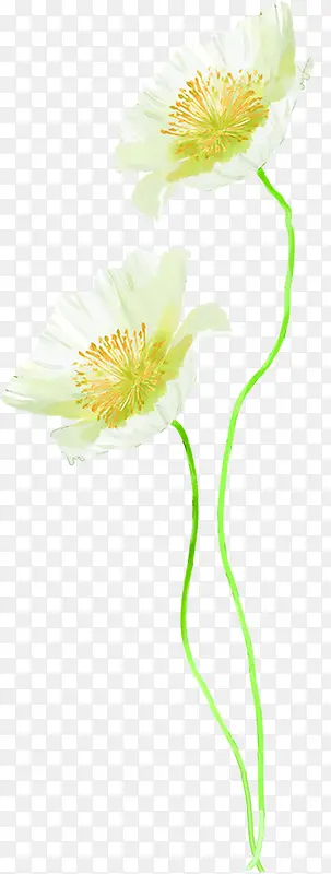 �ֻ��ɫ����ܰ��ʦ��-������