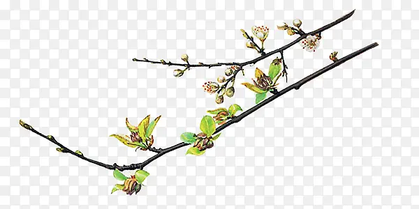 ������Ӱ���ⴺ����һ�-������