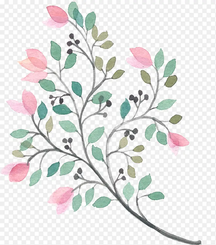 �ֻ�ֲ��-������