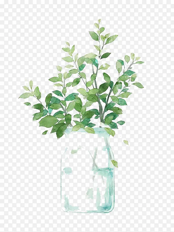 ˮ��Ҷ��-������