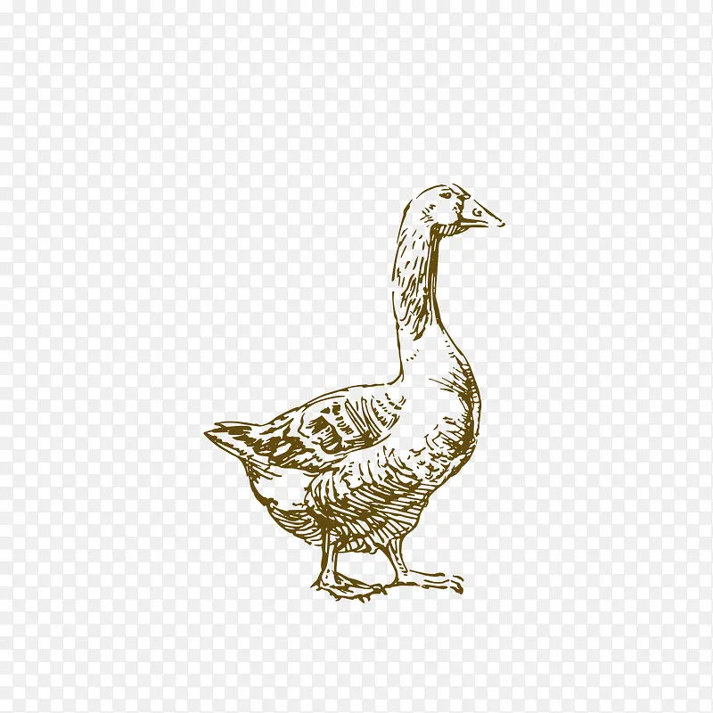 �ֻ�Ѽ��-������