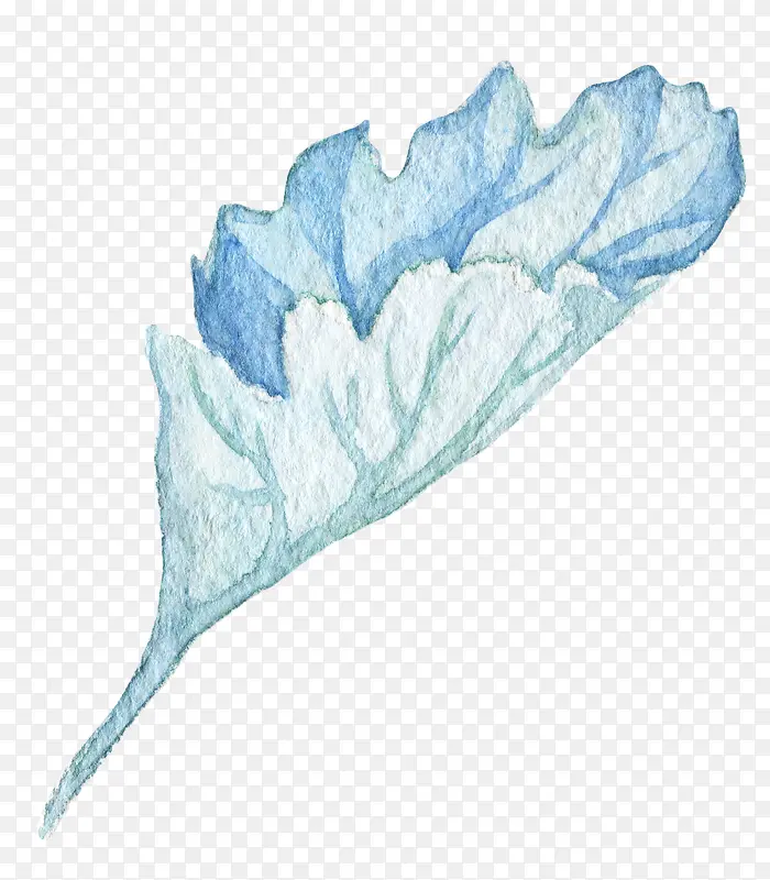 �ֻ�ˮ����Ҷ-������