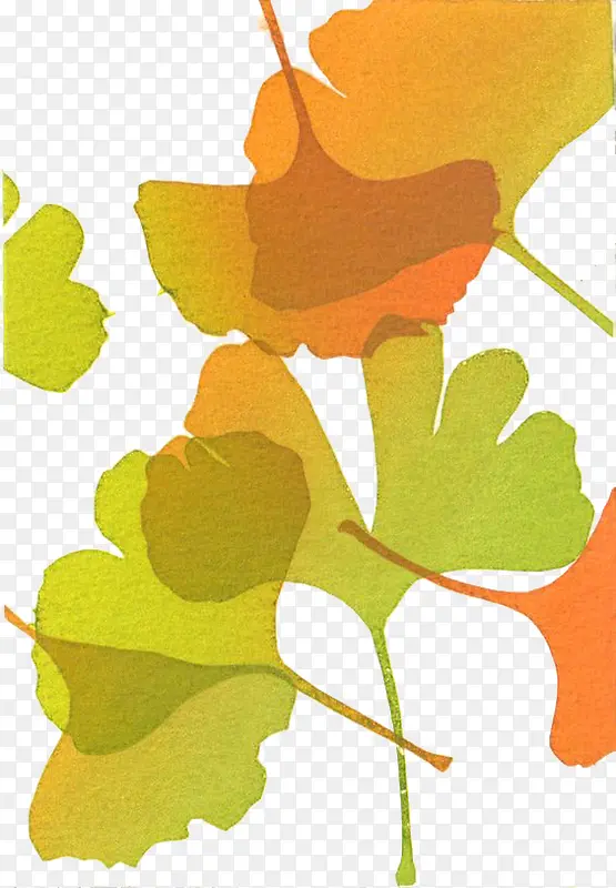 �ֻ��Ҷ-������