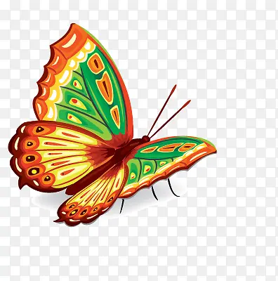 �ֻ����-������