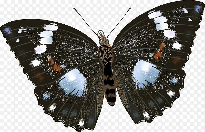 �ֻ����-������