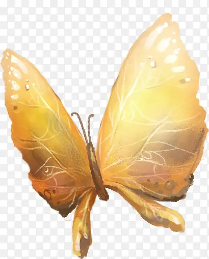 ��ͨ�ֻ����-������