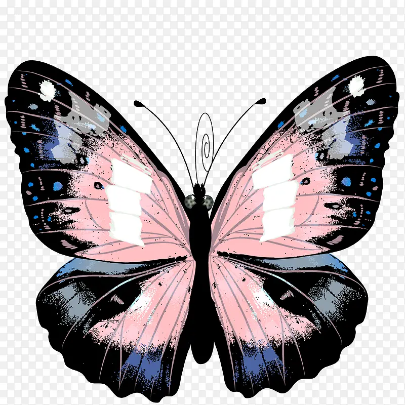 �ֻ����-������