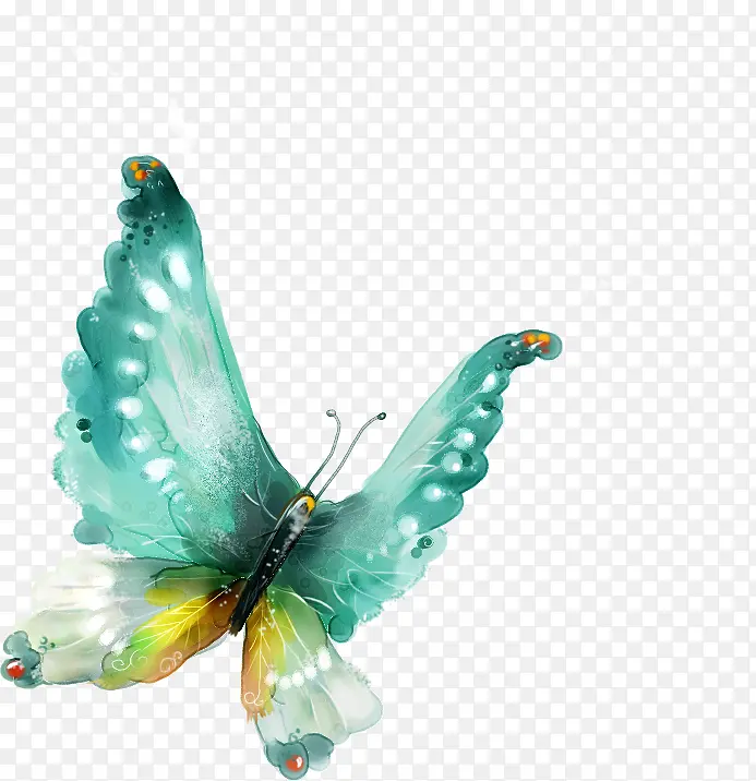 ��ͨ�ֻ����-������