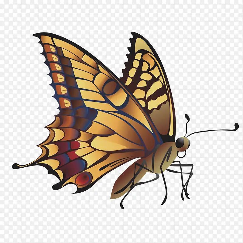 ��ͨ�ֻ����-������