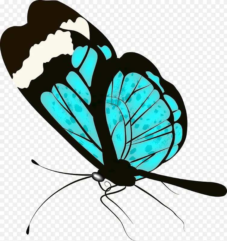 �ֻ����-������