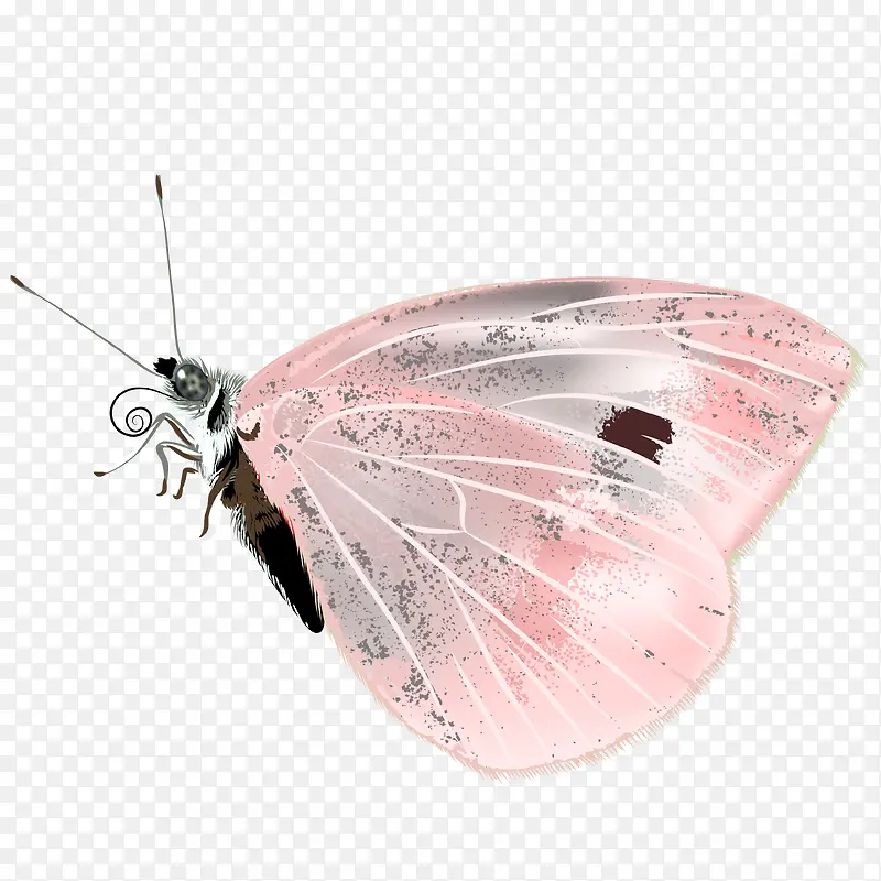 �ֻ����-������