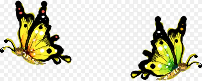 ��ͨ�ֻ��ɫ����-������