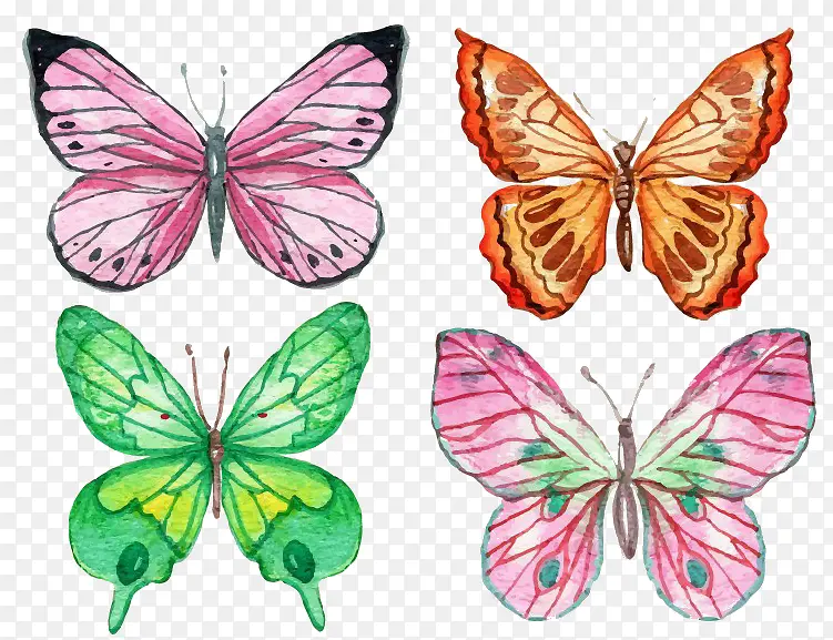 ˮ���ֻ����-������