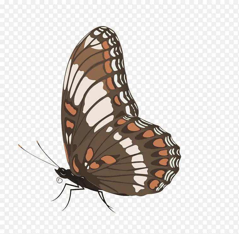 ��ͨ�ֻ����-������