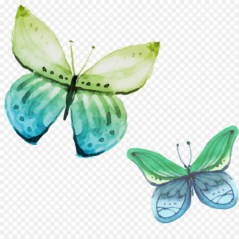 �ֻ����-������