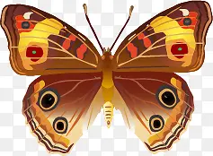 �ֻ����-������