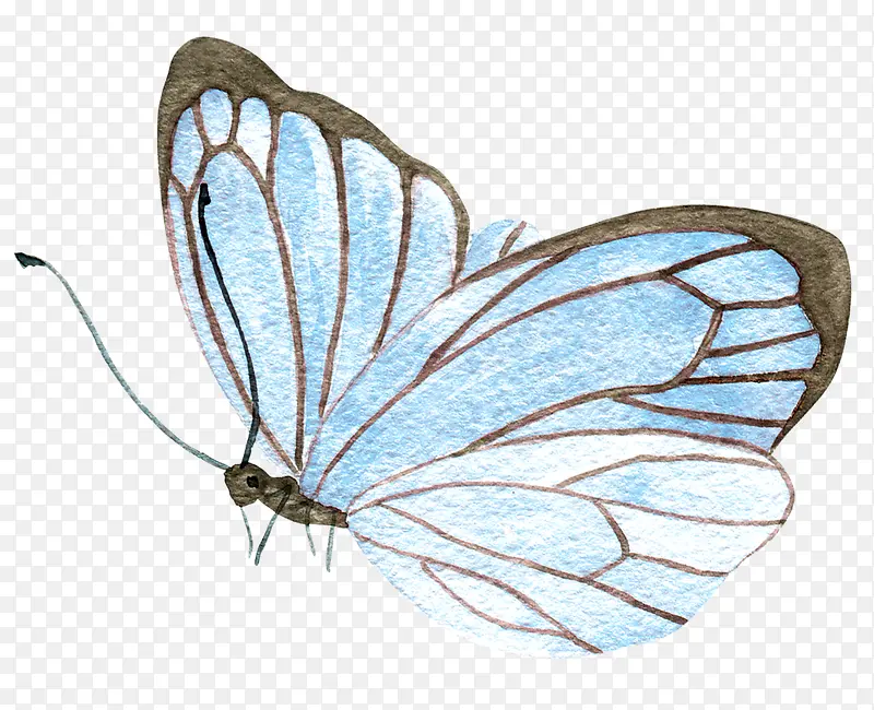 �ֻ����-������