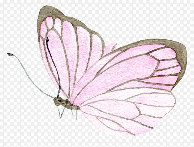 �ֻ����-������