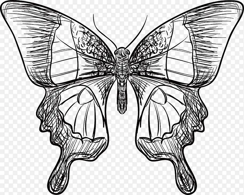 �ֻ�������-������